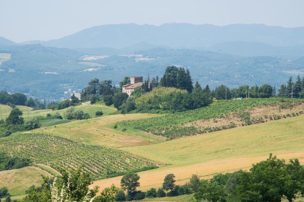 Agriresort & Spa Fattoria I Ricci Vicchio Luaran gambar